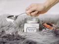 Une main tient une cuillère de bicarbonate de soude au-dessus d'un tapis moelleux. Le bicarbonate de soude est un produit naturel et polyvalent pour le nettoyage.