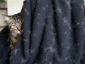 Un chat tigré se cache derrière un plaid couvert de poils. Une aide pour savoir comment enlever les poils de chat.