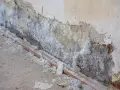 Mur dégradé par l'humidité, recouvert de salpêtre blanc. Une canalisation en terre cuite est visible à la base. Il faut nettoyer ce salpêtre.