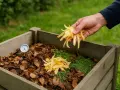 Une main ajoute des épluchures de pomme de terre dans un composteur en bois, à côté d'un thermomètre.