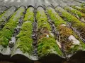 Toit en fibrociment envahi par la mousse. Un anti mousse Axton pourrait aider à retrouver un toit propre.