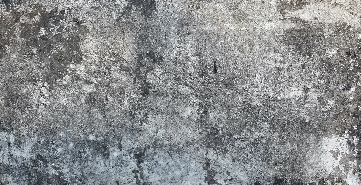 Texture d'une vieille dalle de béton, marquée par le temps et le salpêtre.