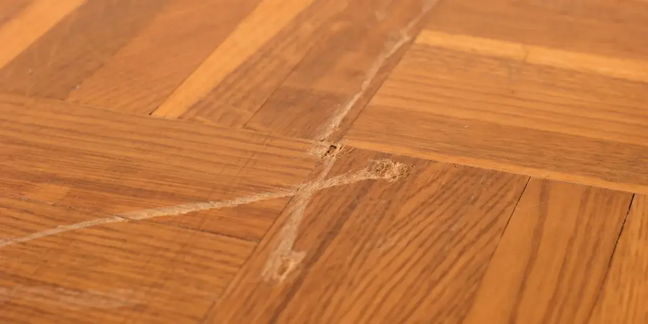 Parquet vitrifié abîmé par des frottements, montrant des marques et des éclats de bois. Comment enlever trace de frottement sur parquet vitrifié.