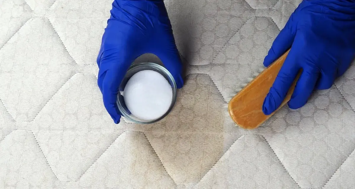 Mains gantées enfilées, on s'apprête à enlever une tache de sang sur un matelas avec une poudre blanche et une brosse.