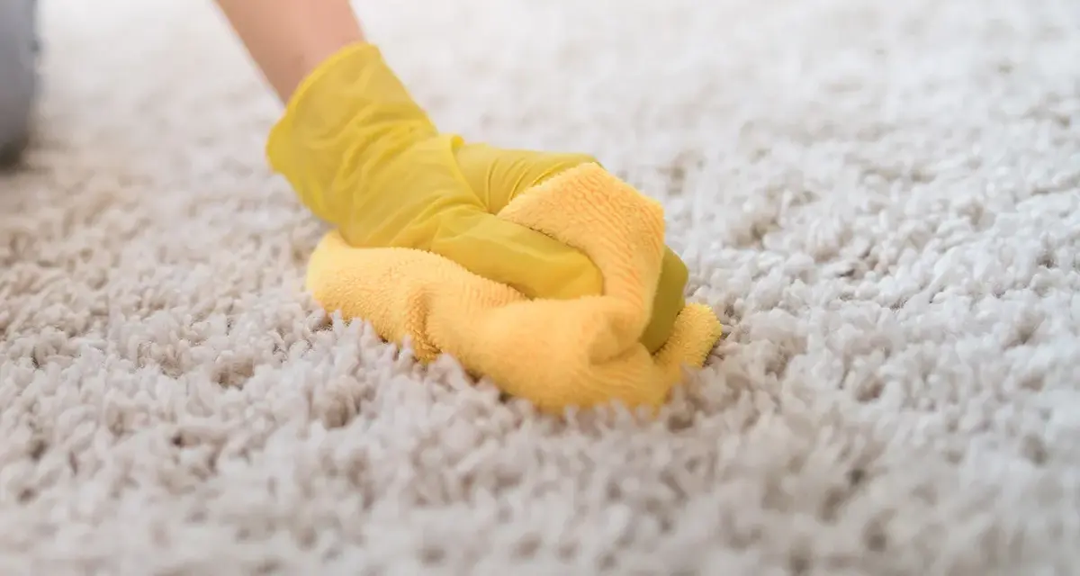 Main tenant, une main gantée de jaune frotte une moquette épaisse. Le nettoyage moquette vapeur redonne son éclat à ce tapis.