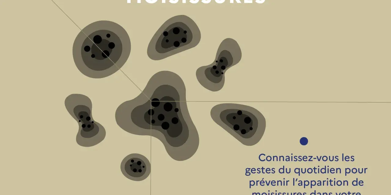 Illustration de taches de moisissures sur un mur. Apprenez les gestes anti moisissure maison pour un logement sain.