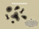 Illustration de taches de moisissures sur un mur. Apprenez les gestes anti moisissure maison pour un logement sain.