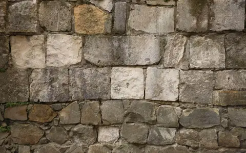 Mur en pierres naturelles, certaines semblant prêtes à décaper pour révéler leur éclat d'origine.