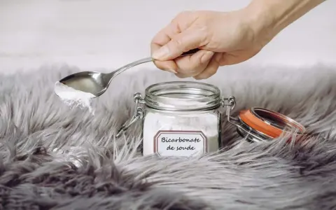 Une main tient une cuillère de bicarbonate de soude au-dessus d'un tapis moelleux. Le bicarbonate de soude est un produit naturel et polyvalent pour le nettoyage.
