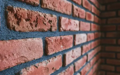Gros plan sur un mur de briques rouges avec des joints bleus foncés. Idéal pour illustrer comment nettoyer des briques après avoir fait les joints.