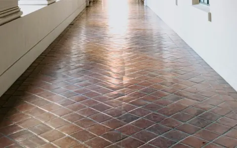 Un couloir avec un carrelage en terre cuite, dont la surface semble avoir été traitée pour vitrifier un carrelage, reflète la lumière.