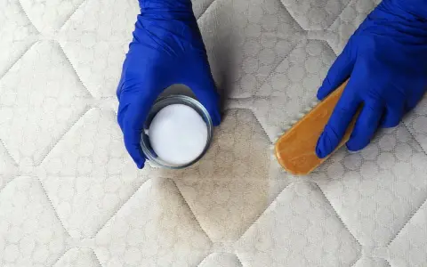 Mains gantées enfilées, on s'apprête à enlever une tache de sang sur un matelas avec une poudre blanche et une brosse.