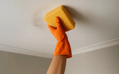 Main tenant nettoie le plafond taché avec une éponge jaune. Le sol sale n'est plus un problème.