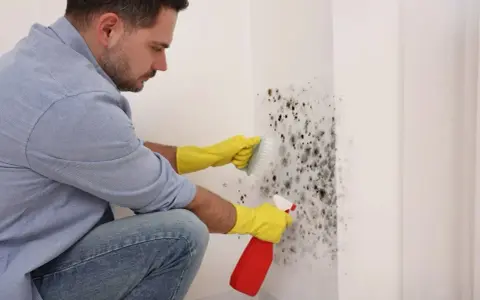 Un homme en gants jaunes utilise un spray et une brosse pour nettoyer la moisissure sur un mur. Il utilise du bicarbonate pour nettoyer le mur.