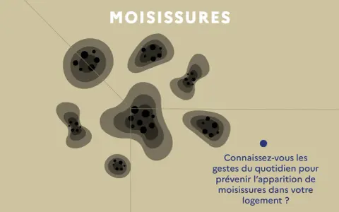 Illustration de taches de moisissures sur un mur. Apprenez les gestes anti moisissure maison pour un logement sain.