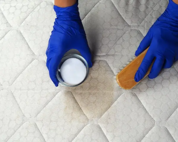 Mains gantées enfilées, on s'apprête à enlever une tache de sang sur un matelas avec une poudre blanche et une brosse.