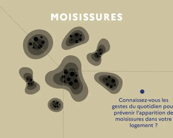 Illustration de taches de moisissures sur un mur. Apprenez les gestes anti moisissure maison pour un logement sain.