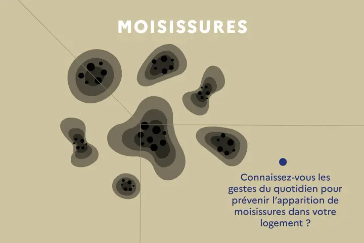 Illustration de taches de moisissures sur un mur. Apprenez les gestes anti moisissure maison pour un logement sain.