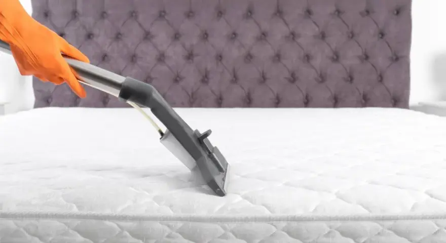 Main tenant, gant orange, utilise un aspirateur pour comment nettoyer un matelas à sec. Le matelas est blanc, avec un couvre-lit capitonné gris en arrière-plan.