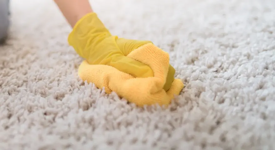 Main tenant, une main gantée de jaune frotte une moquette épaisse. Le nettoyage moquette vapeur redonne son éclat à ce tapis.