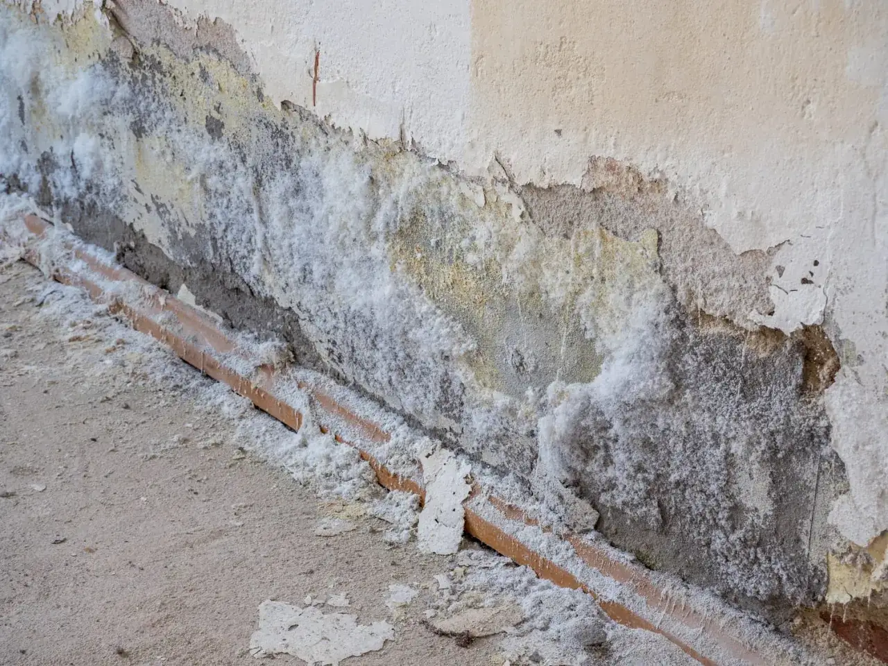 Mur ab&icirc;m&eacute; par l'humidit&eacute;, avec des efflorescences de salp&ecirc;tre sur le carrelage et le mur.