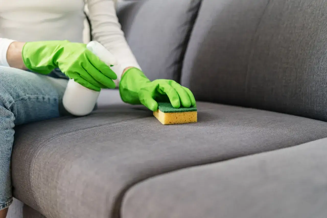 Main verte, une éponge nettoie une tache auréole sur un canapé en tissu gris.
