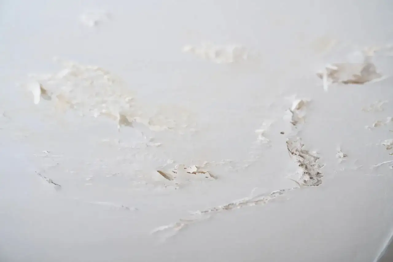Plafon ab&icirc;m&eacute;, peinture &eacute;caill&eacute;e et traces de salp&ecirc;tre. Il est temps de nettoyer et de r&eacute;nover.