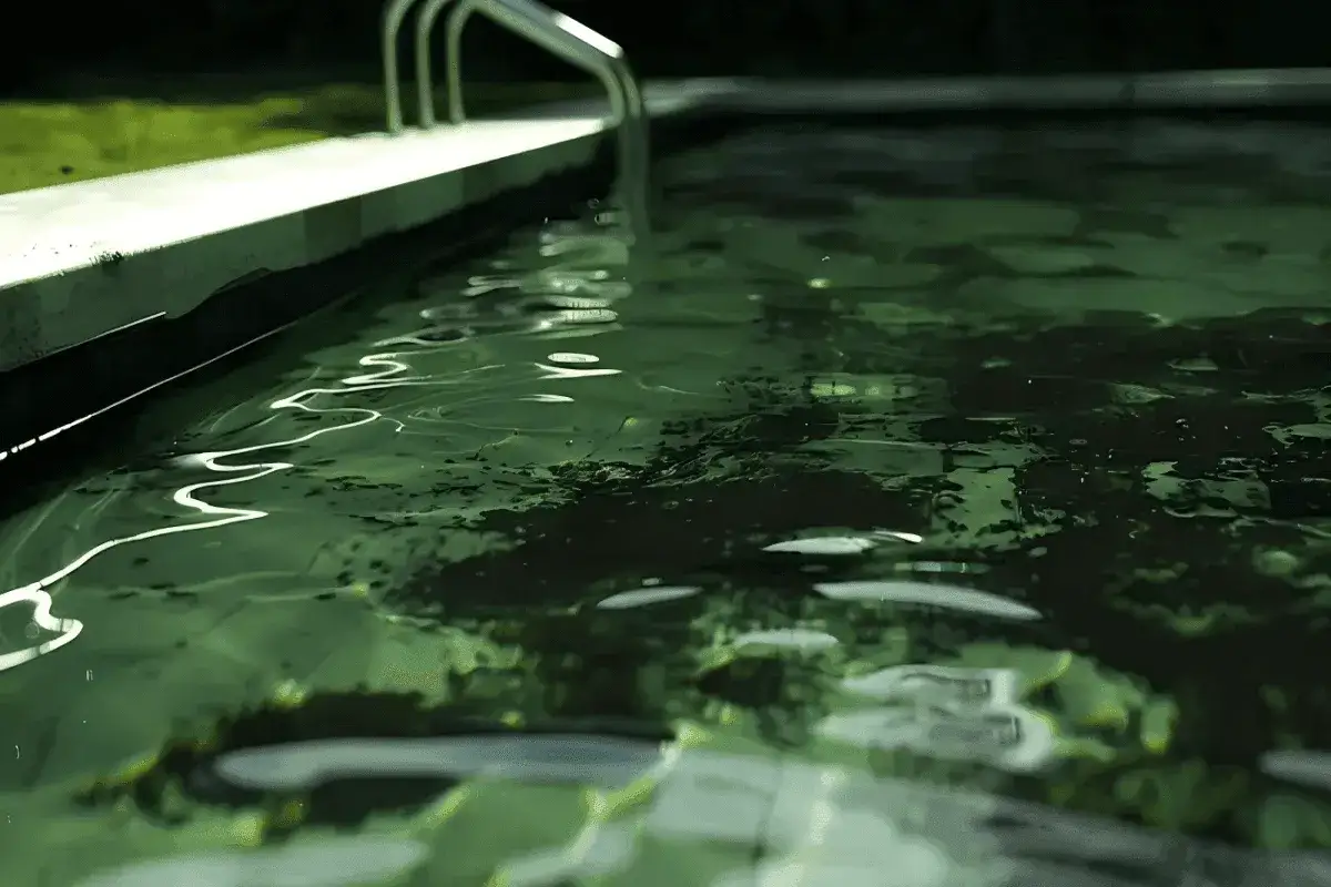 Eau trouble d'une piscine en béton, avec des taches noires flottant à la surface.