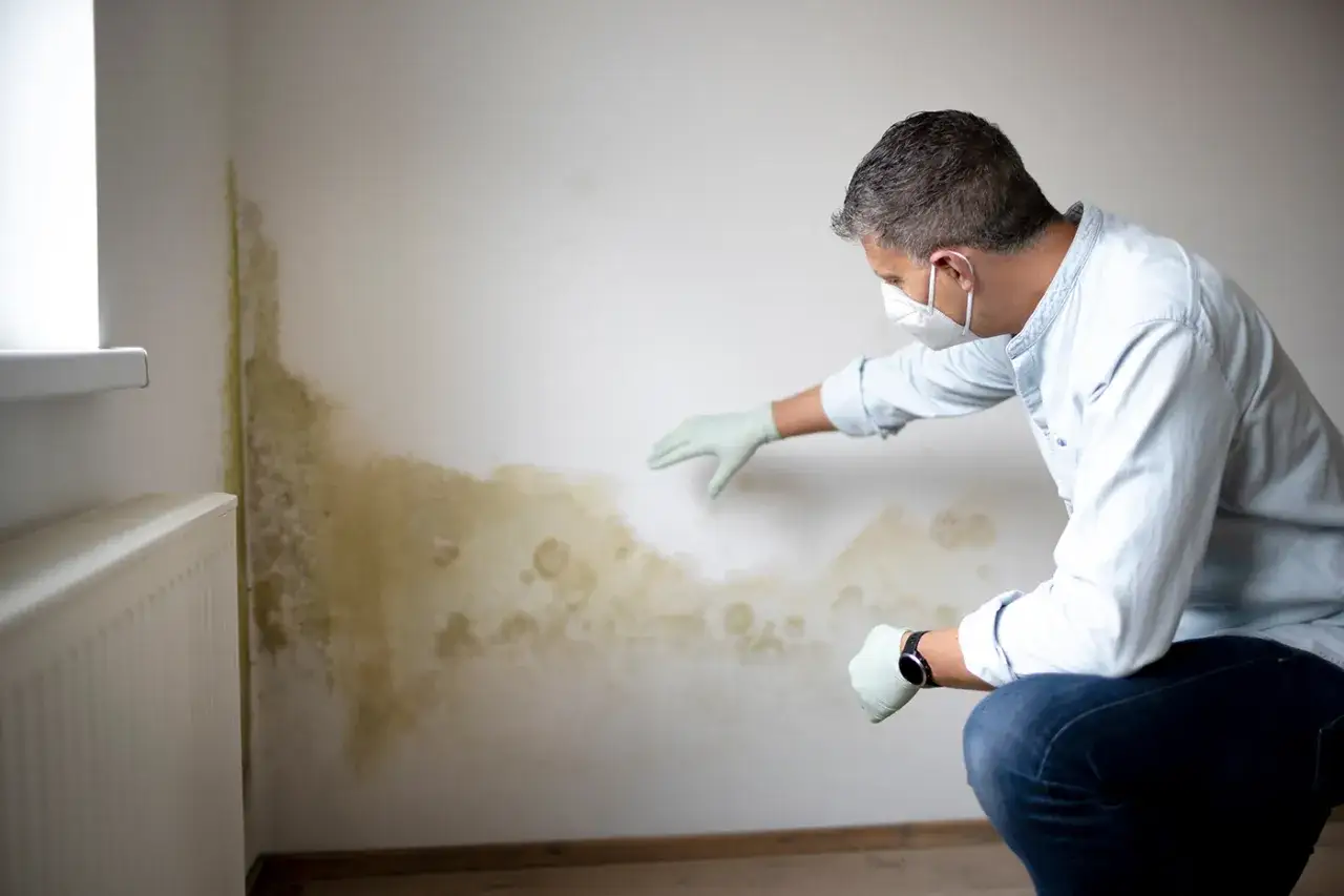 Un homme masqué examine une tache de moisissure sur un mur, signe qu'il faut agir pour un anti moisissure maison efficace.