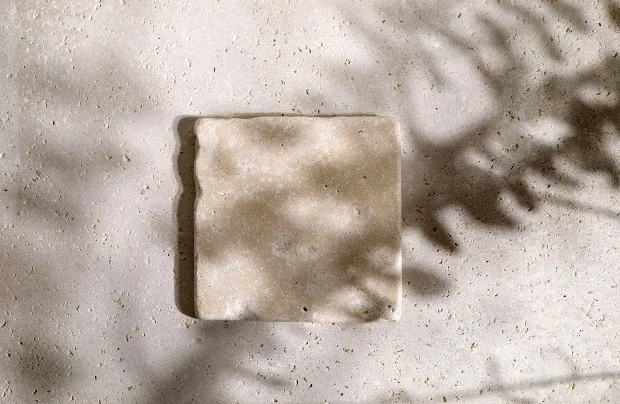 Une petite tache sur un carreau de travertin, baign&eacute; par la lumi&egrave;re du soleil filtrant &agrave; travers des feuilles.