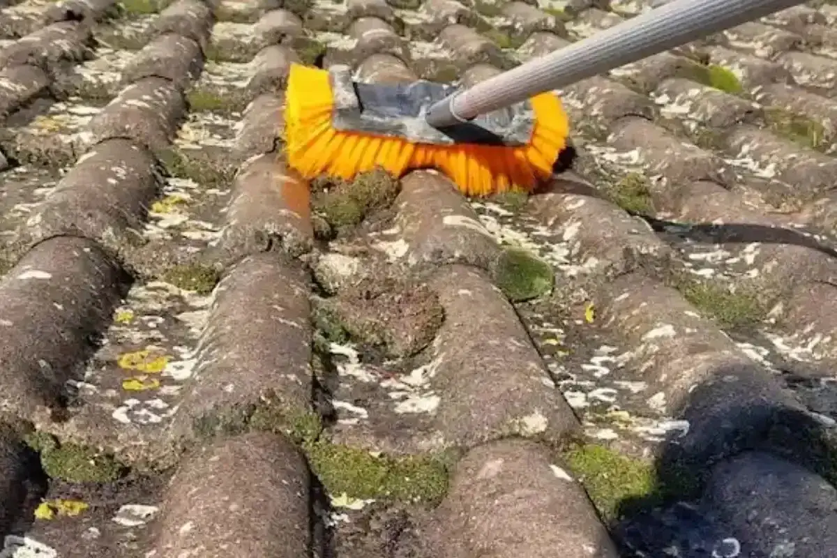 Brosse jaune frottant des tuiles en fibro-ciment envahies par la mousse. Un nettoyage avec de l'eau de javel est en cours.