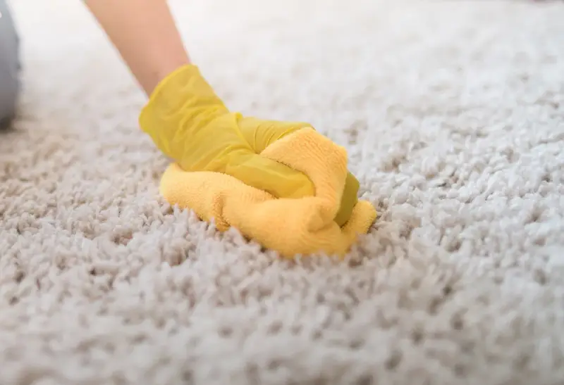 Main tenant, une main gantée de jaune frotte une moquette épaisse. Le nettoyage moquette vapeur redonne son éclat à ce tapis.