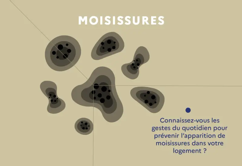 Illustration de taches de moisissures sur un mur. Apprenez les gestes anti moisissure maison pour un logement sain.